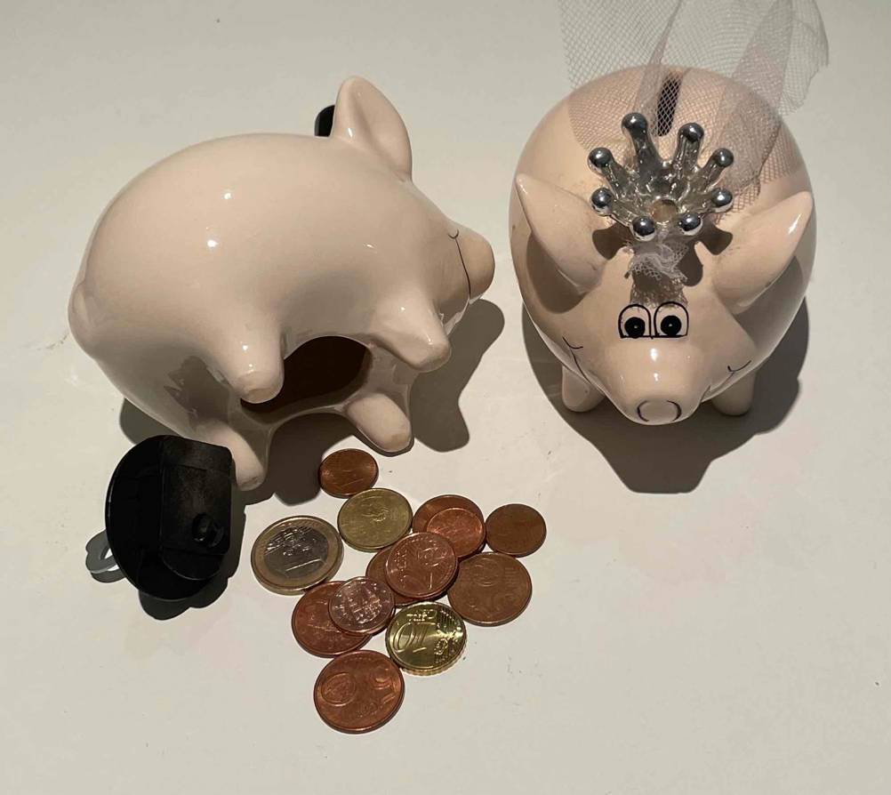 Im Test: Ein Sparschwein steht neben einem liegenden geöffneten, davor liegen mehrere Euro-Münzen.