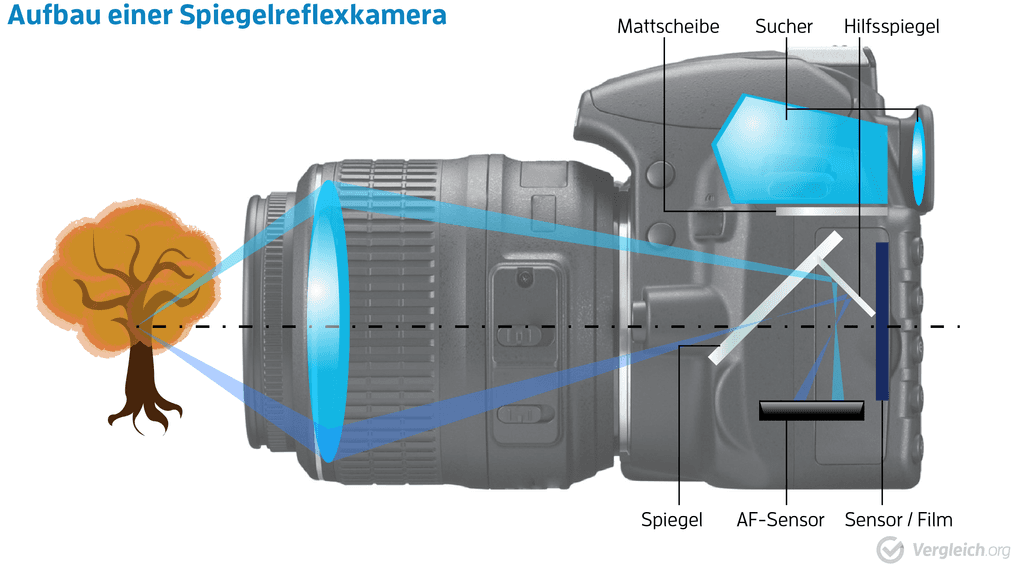 Spiegelreflexkamera im Test: Grafik, die den Aufbau im Inneren der Kamera darstellt und wie der Spiegelreflex funktioniert.