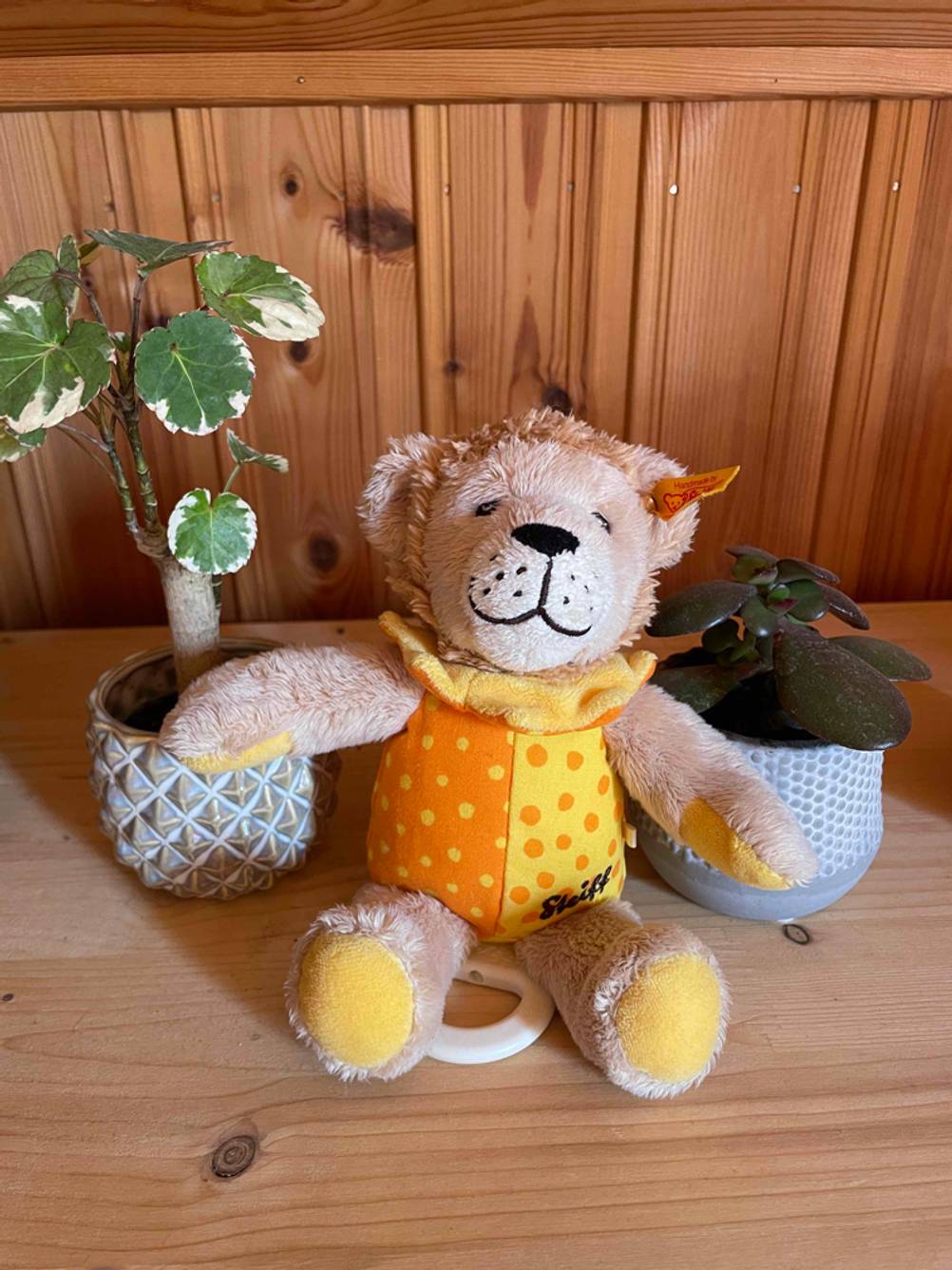 Getestet: Ein Spieluhr für Babys in Form eines Löwen auf einem Holztisch zwischen Blumentöpfen.