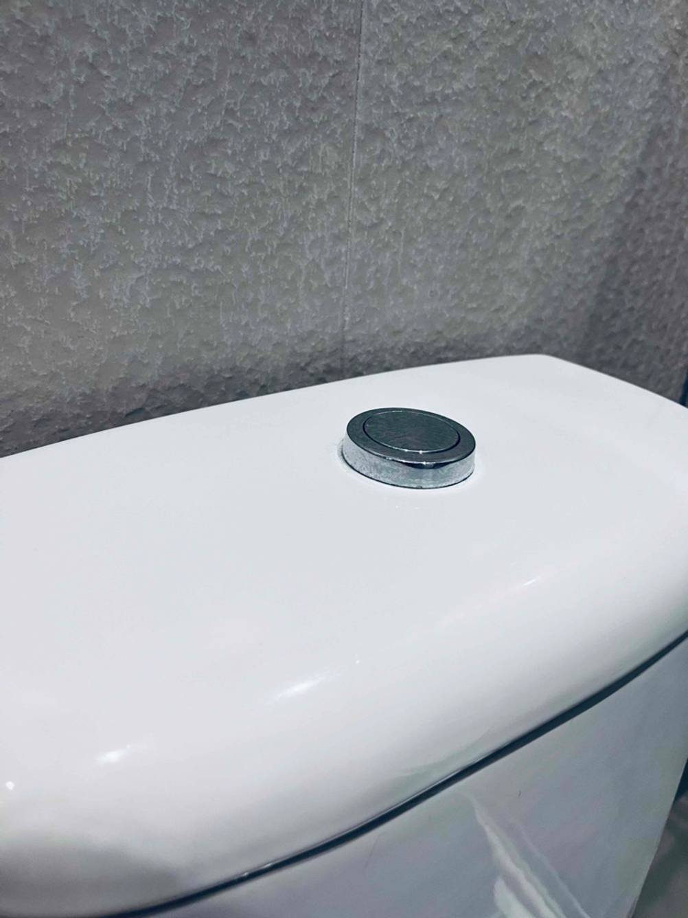 Spülkasten im Test: Detailansicht Deckel mit silbernem Spülknopf.