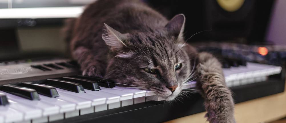 stage-piano-thomann