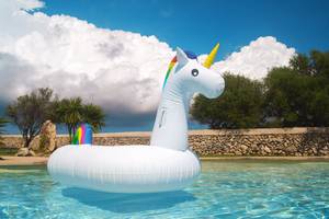Einhorn-Schwimmring für den Pool