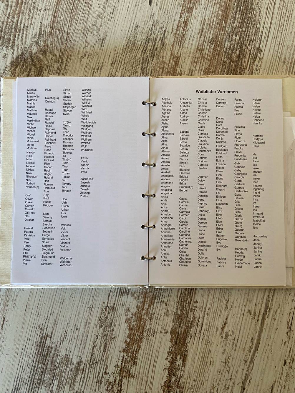 Innenansicht des getesteten Stammbuchs mit Namensvorschlägen.
