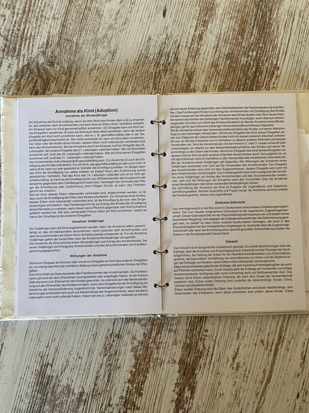 Stammbuch getestet: Das aufgeschlagene Buch mit Informationen.