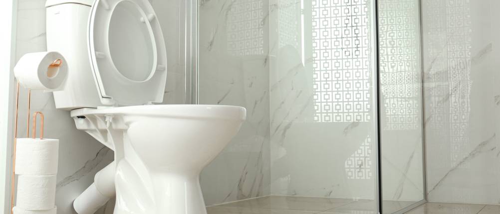 stand-wc test
