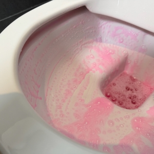 Eine schwarze Toilettenbürste reinigt die immer noch leicht pinke Schüssel.