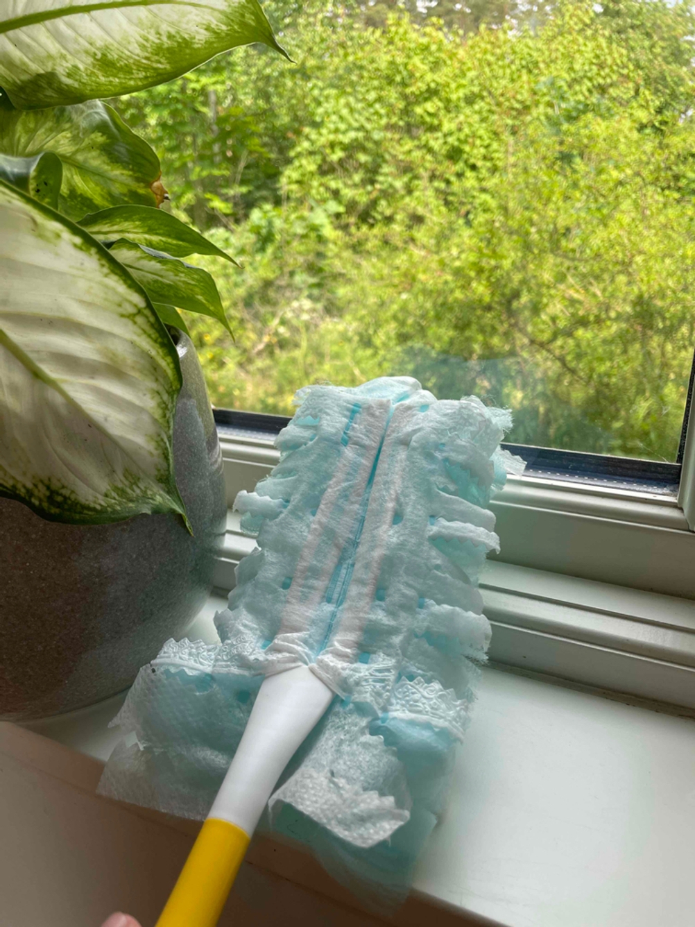 Staubwedel wird zur Fensterreinigung verwendet.