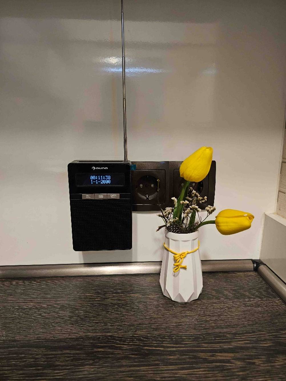 Getestet: Ein Steckdosenradio in der Dose, daneben eine kleine Vase mit Tulpen.