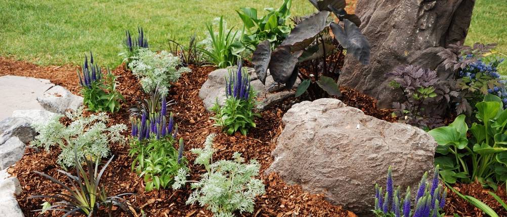 steinbeet-rindenmulch-ohne-unkraut