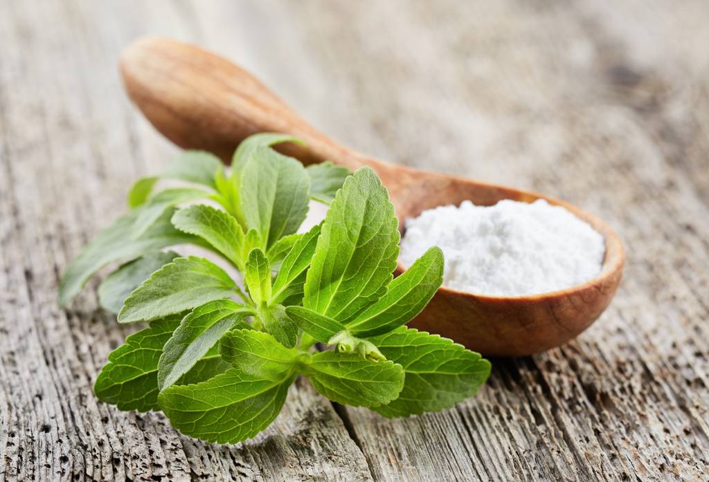 Stevia-Schokolade-Test: Stevia-Pflanze und Holzlöffel mit Stevia-Pulver. 