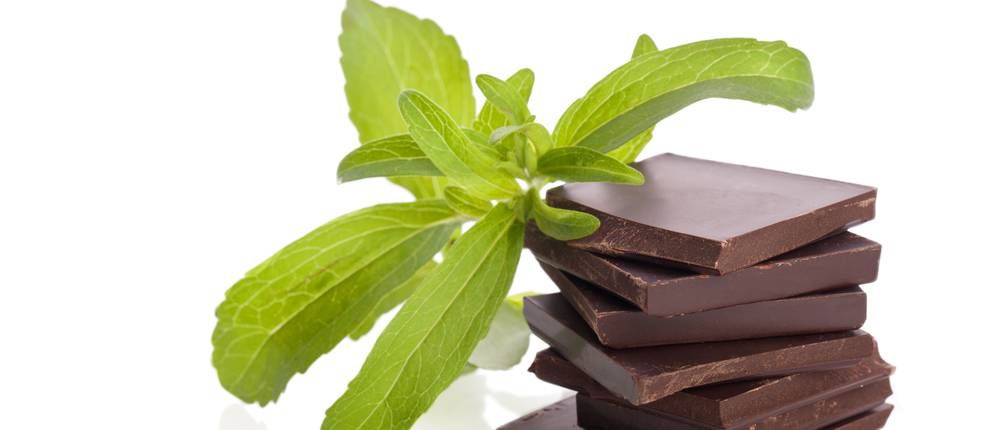 stevia schokolade test: Stevia-Schokolade-Stücke 