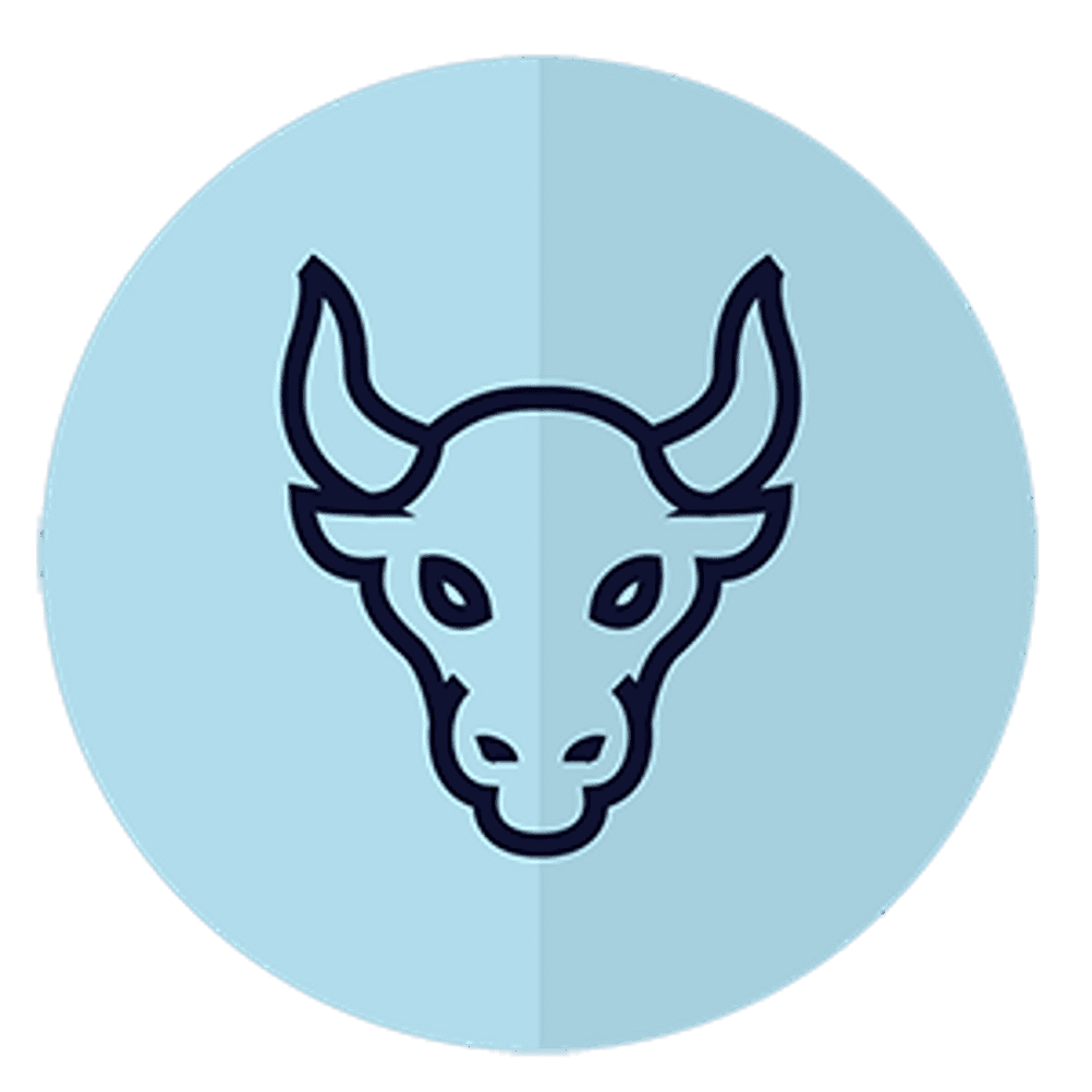 stier