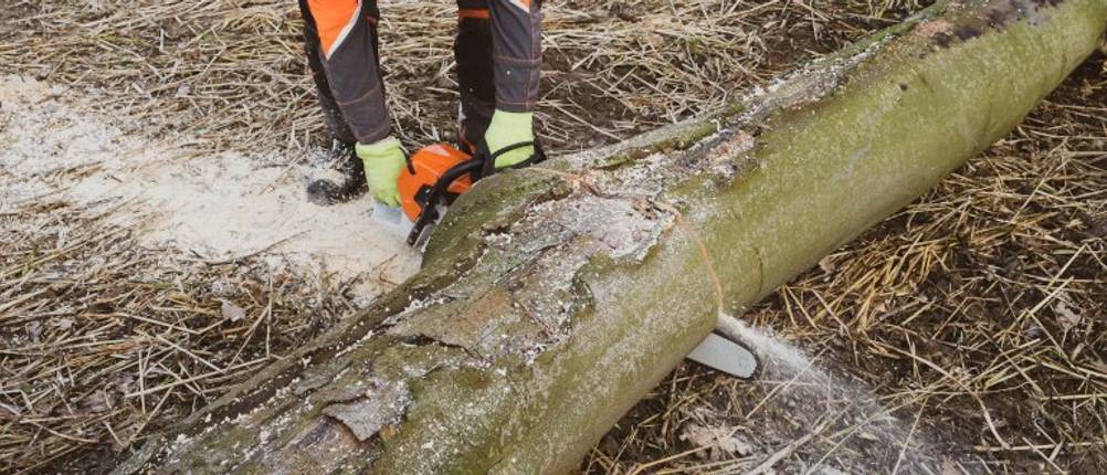 stihl-kettensäge-benzin-test