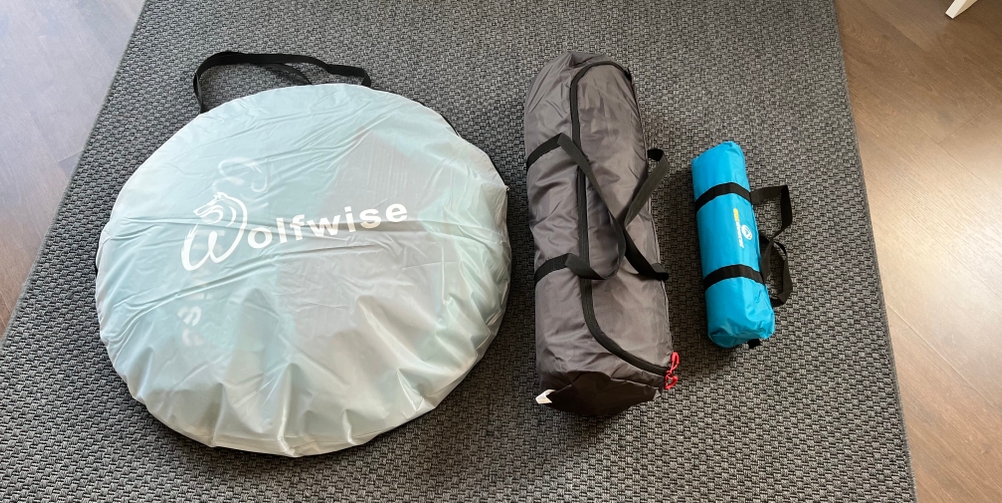 Alle drei Strandmuscheln liegen auseinandergebaut auf einem Teppich