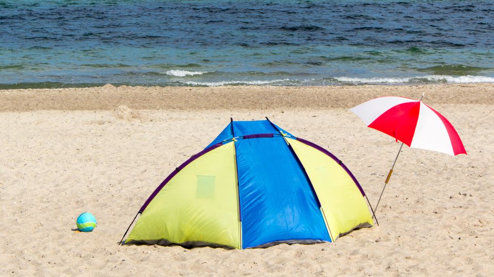 Blau-gelbe Strandmuschel am Meer