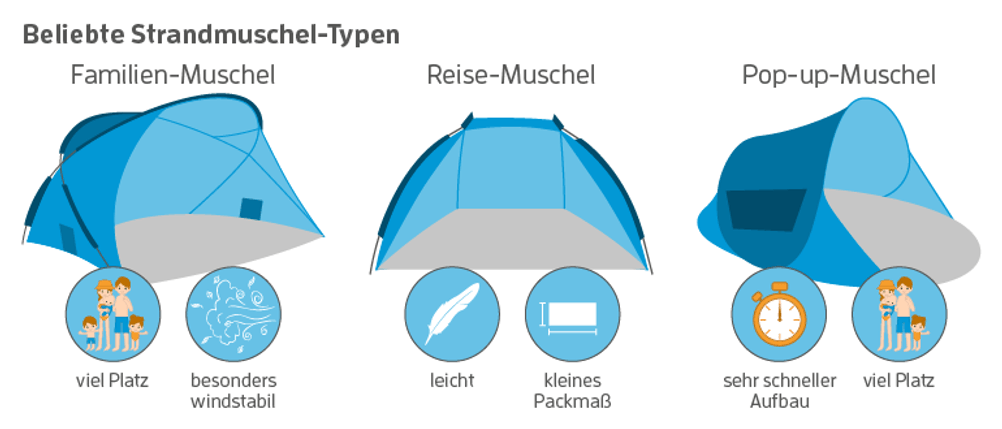 Grafik von Strandmuschel-Arten