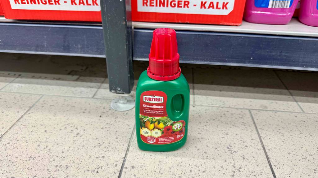 Eisendünger getestet: Eine grüne Kunststoffflasche inklusive roter Dosierkappe steht im Supermarkt auf einem Fliesenboden.