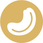 Cashew
