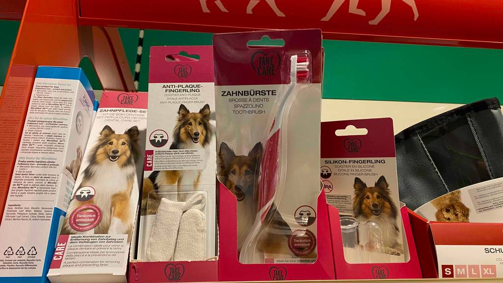 Hundezahnbürste-Test: Mehrere Produkte liegen in der Verpackung nebeneinaner.