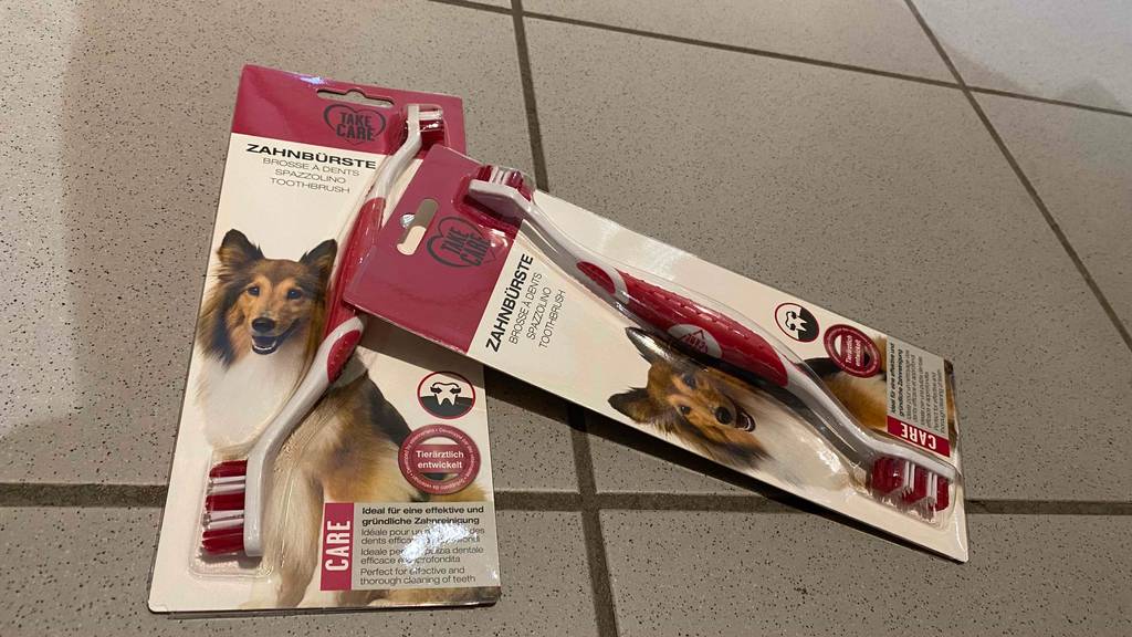 Hundezahnbürste getestet: Zwei verpackte Produkte liegen auf Fliesenboden.