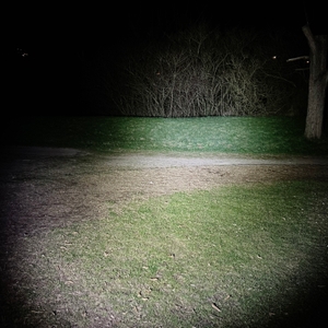 Die Klarus XT21X Pro beleuchtet einen weiten Bereich einer Wiese in der Nacht. Der Lichtkegel ist breit und gleichmäßig verteilt.