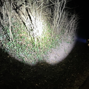 Die Nextorch TA30C strahlt bei hoher Helligkeit auf eine Wiese in der Nacht. Die beleuchtete Fläche ist groß und hebt sich deutlich vom dunklen Hintergrund ab.