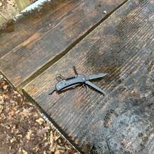 Das Amazon Basics Multitool liegt mit mehreren ausgeklappten Werkzeugen auf einer nassen Holzbank. Die Oberfläche ist leicht reflektierend.