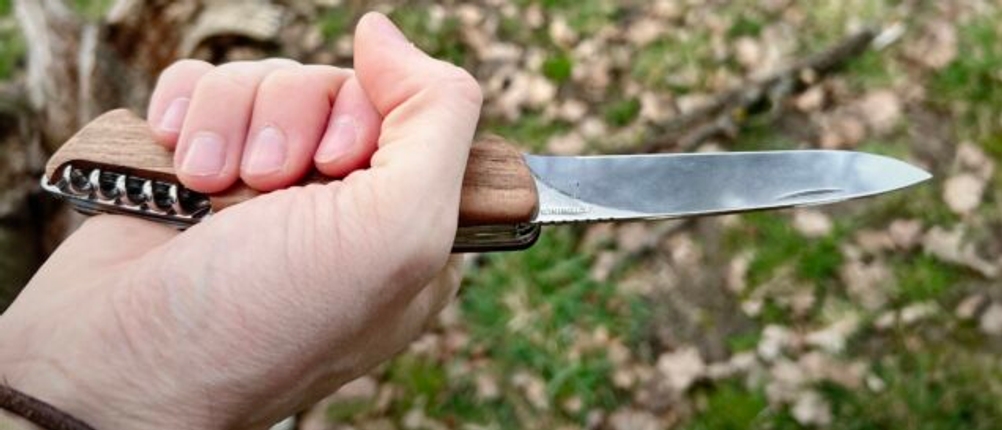 Das Victorinox Ranger Wood 55 wird in einer Hand gehalten, mit Blick auf die ausgeklappte Klinge. Der Fokus liegt auf dem Griff.