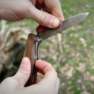 Eine Person klappt beim Victorinox Ranger Wood 55 die Hauptklinge vorsichtig ein. Beide Hände greifen sicher das Messer.
