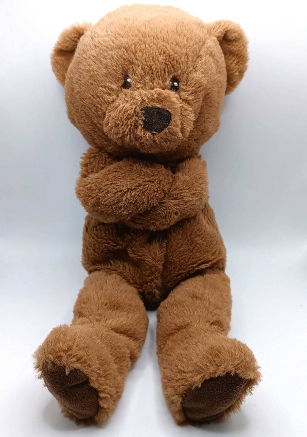 Getestet: Ein Teddy mit verschränkten Armen von vorne.