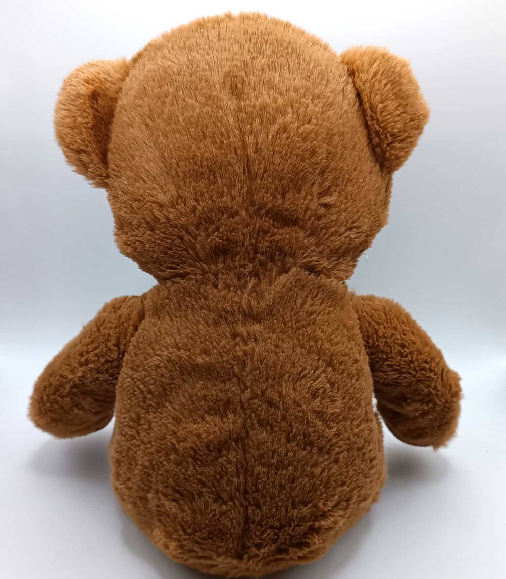 Ein sitzender Teddy im Test von hinten auf einer hellen Fläche.