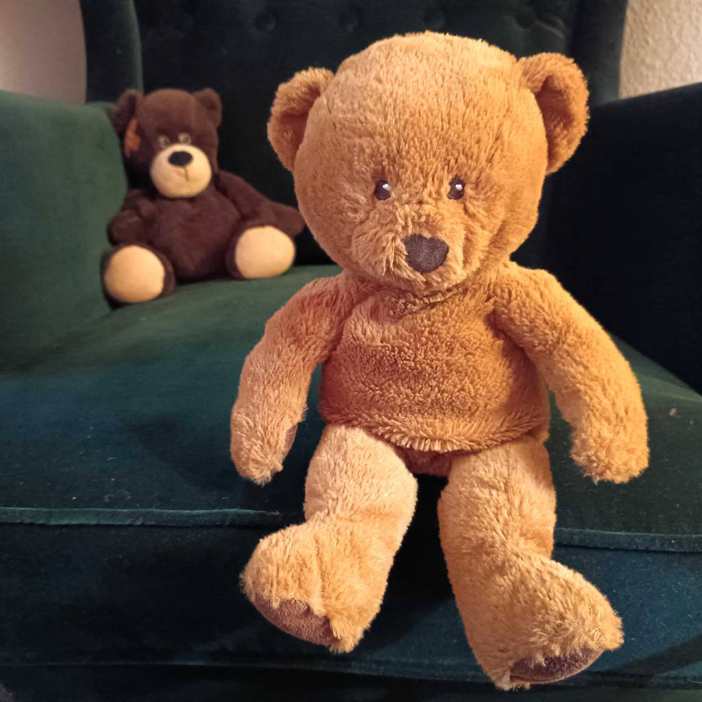 Zwei getestete Teddys sitzen auf dem Sofa. 