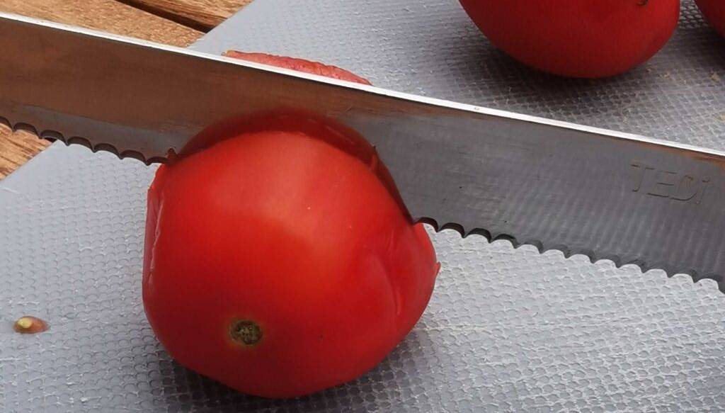 tomatenmessser-test: Detailansicht der gezahnten Klinge eines Test-Tomatenmessers, die in einer Tomate steckt.