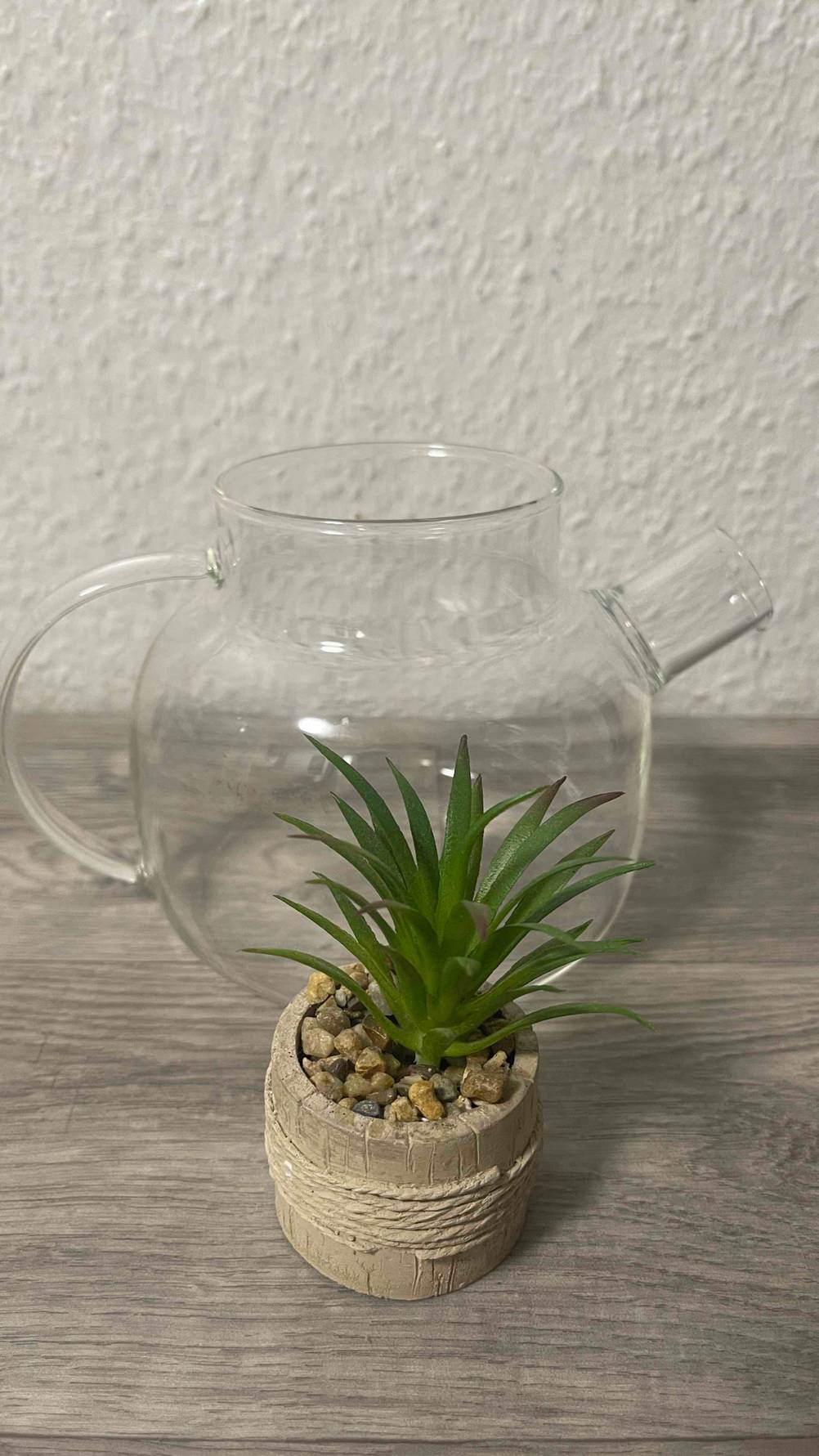Im Test: Eine Teekanne aus Glas steht hinter einer Pflanze.
