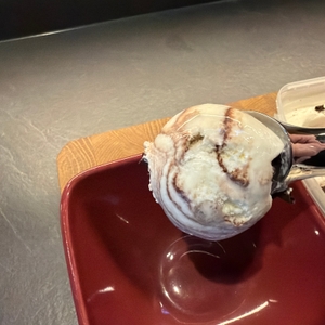 Eine Kugel Eis liegt im Tefal-Ingenio-Eisportionierer