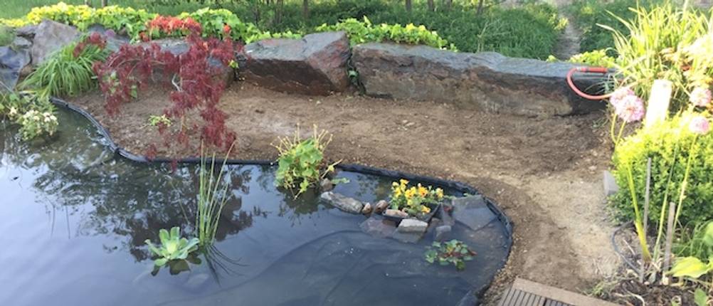 Teichvlies-Test: Ein frisch angelegter Gartenteich.