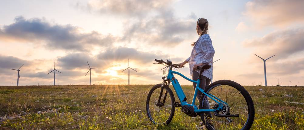 Telefunken E-Bike Test