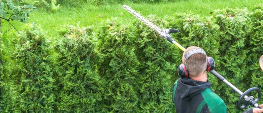 teleskop-heckenschere-hecke-schneiden-teleskop-heckenschere-testsieger-kaufen
