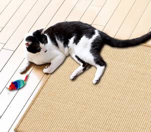 teppich katze