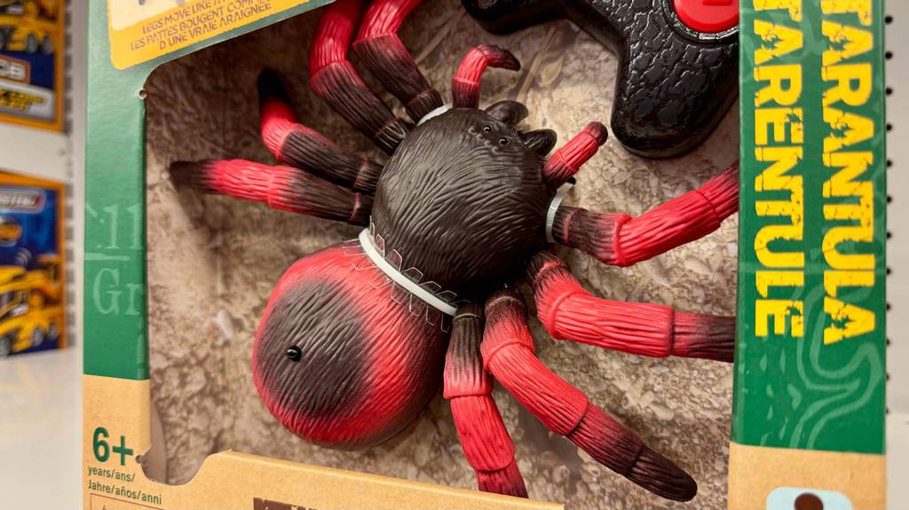 Nahaufnahme der getesteten, ferngesteuerten Spinne, die sich in ihrer Verpackung befindet.