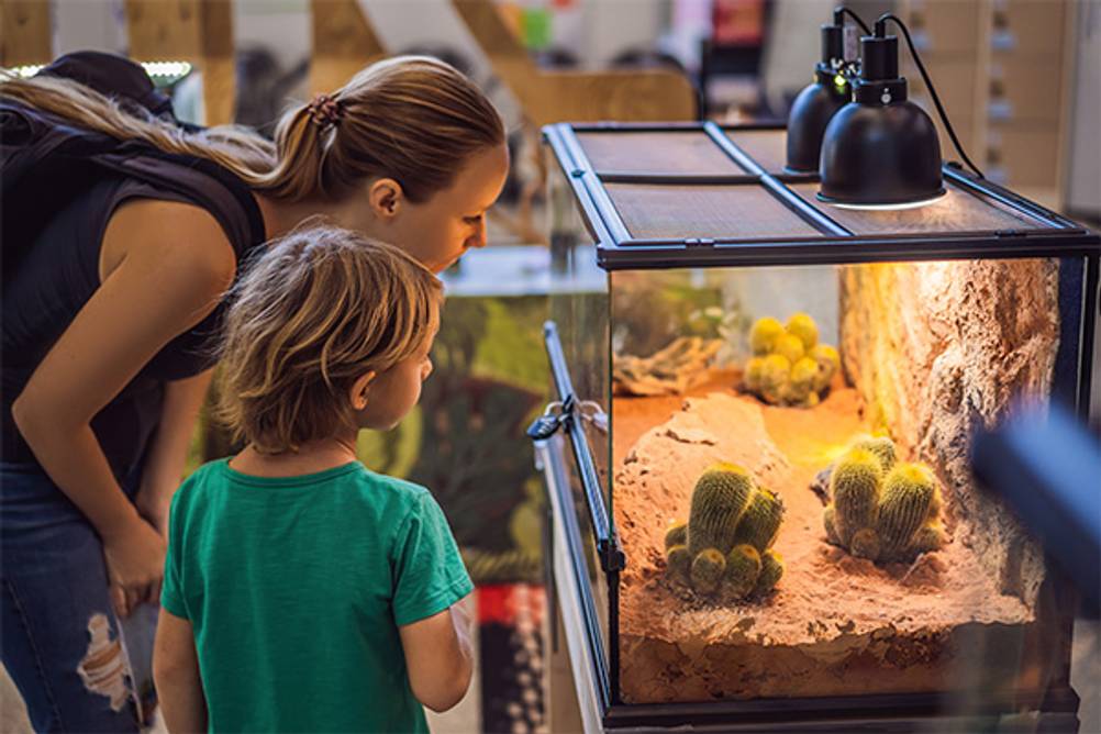 Terrarium-Heizung im Test: Eine Frau und ein Kind die in ein Terrarium schauen.