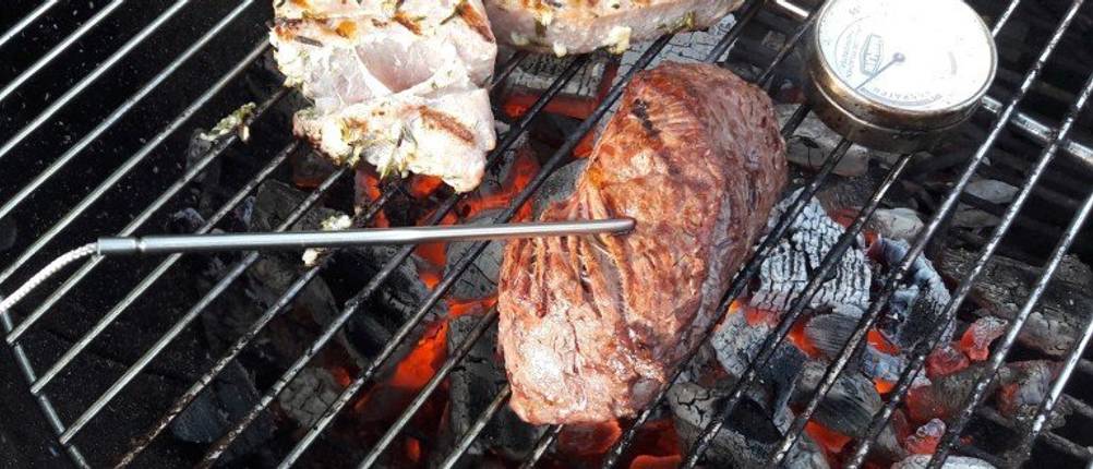Test Funk-Grillthermometer