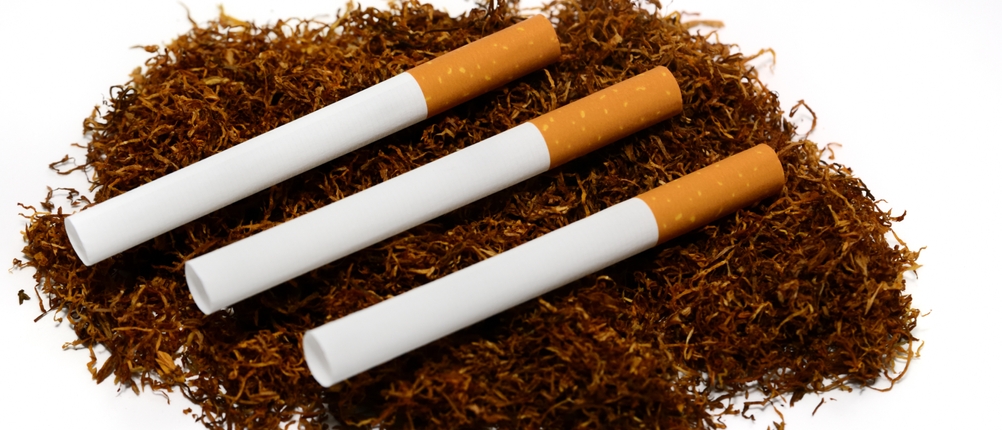 Leere Zigarettenhülsen auf Tabak.