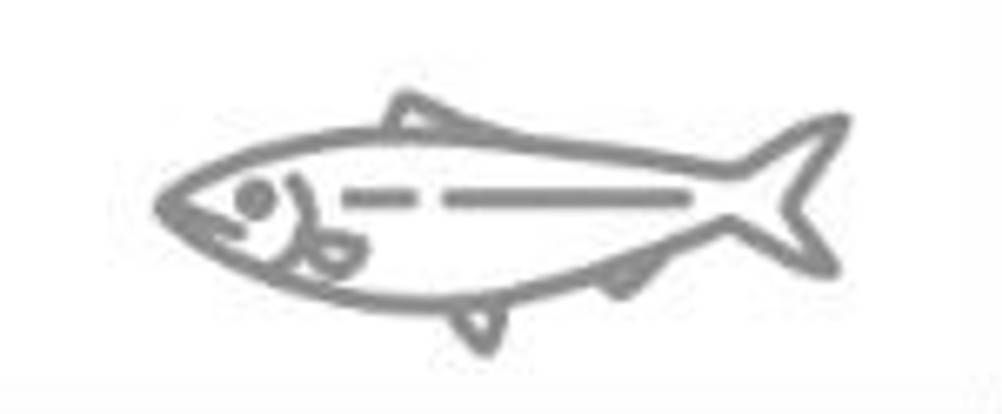 Jedes Jahr wird der Fisch des Jahres gekürt