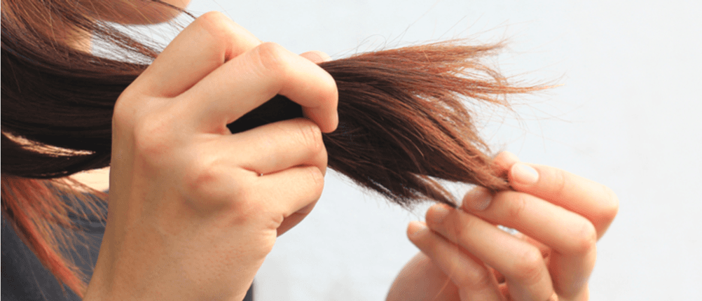 geschädigte haare tiefenreinigungsshampoo