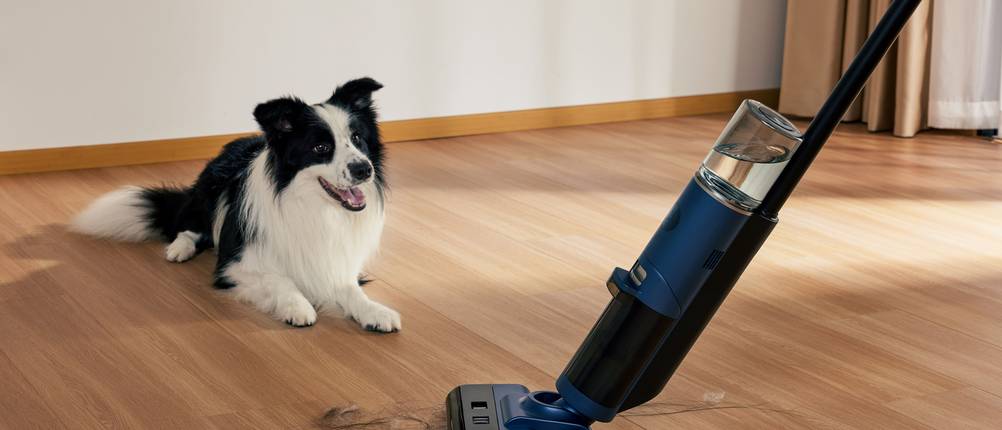 Tierhaarstaubsauger im Test: Ansicht eines liegenden Hundes mit Tierhaarstaubsauger im Vordergrund.