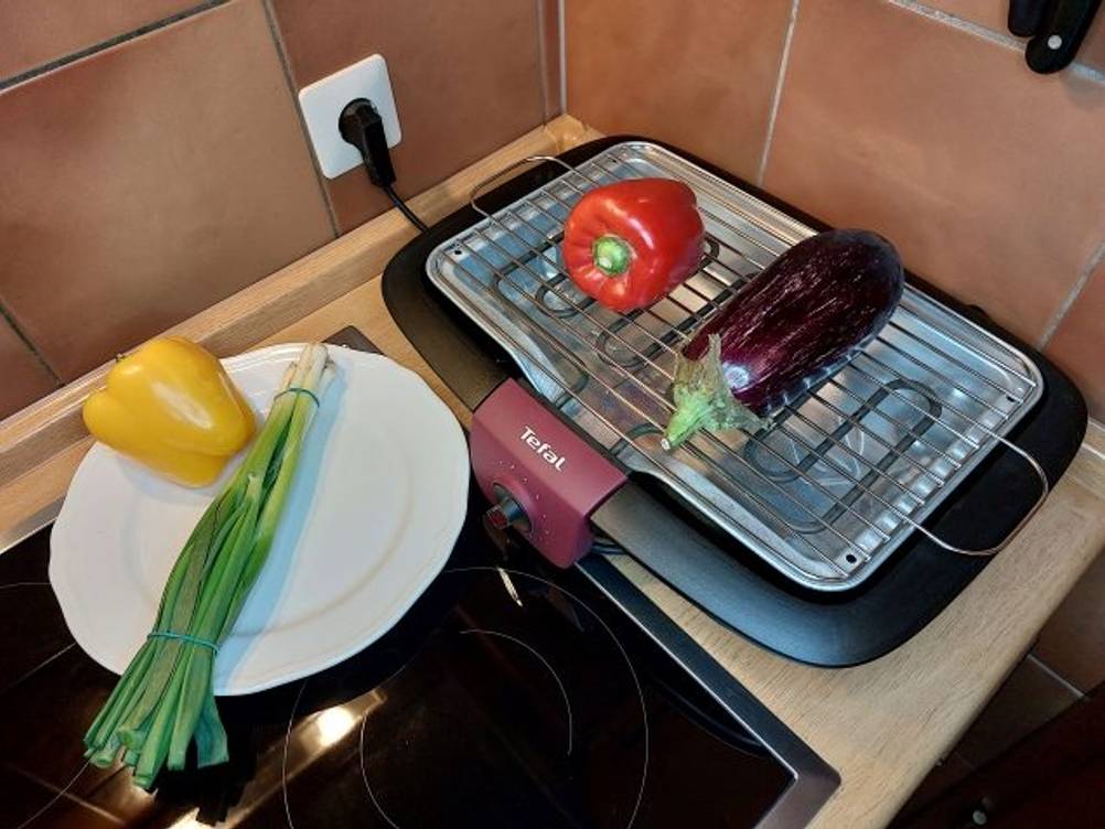 tischgrill-test