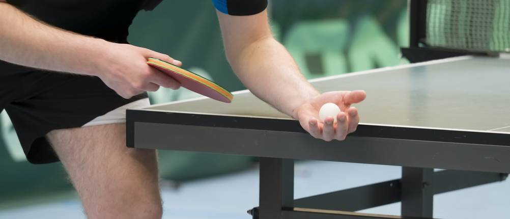 tischtennis eigenheim
