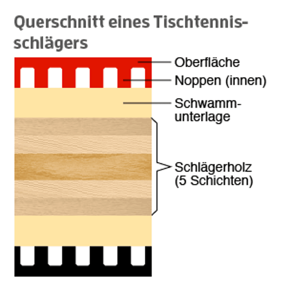 Querschnitt eines getesteten Tischtennisschlägers
