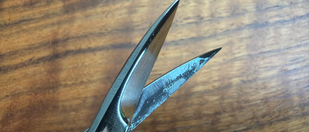 Die geöffnete Spitze der Titania-Nagelschere in Nahaufnahme.